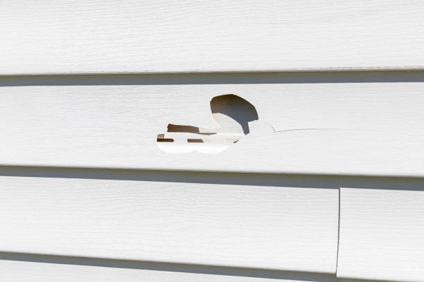 Best Insulated Siding Installation  in Whispering Pines, NC